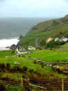 south_don_coast1.jpg (88432 bytes)