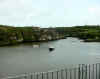 view_herons.jpg (50473 bytes)