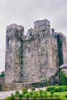 barryscourt1_web.jpg (147003 bytes)
