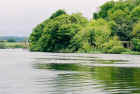 blackwater2_web.jpg (131392 bytes)