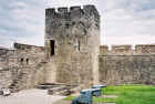 castle_cannons_web.jpg (146293 bytes)