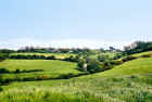 cork_hills_web.jpg (91330 bytes)