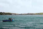 crook_harb1_web.jpg (88124 bytes)