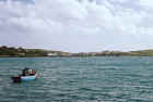 crook_harb3_web.jpg (83858 bytes)