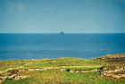 fastnet_web.jpg (91636 bytes)