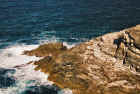 mizen_coast1c_web.jpg (192562 bytes)