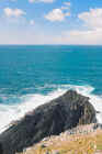 mizen_head_coast2c_web.jpg (54012 bytes)