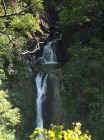 24_db_falls01.jpg (90618 bytes)