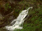 25_db_falls04.jpg (161097 bytes)