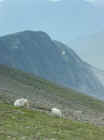 26_snowdon10.jpg (54073 bytes)