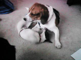 I'll kill you !!