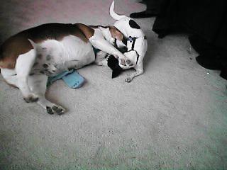 I'll kill you !!