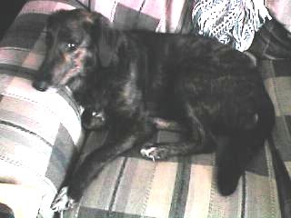 Drake Relaxing