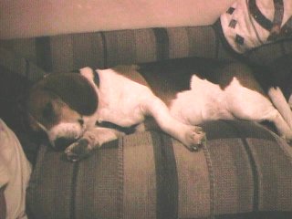 Zzzzzzz