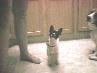 What do you have?  Food?