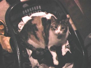 Ahh. Clean Laundry