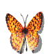 borboleta.gif