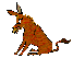 burro.gif