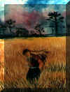 image022.jpg (102872 bytes)