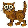 Barlow, petz 3/4/5