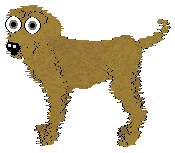 Buddy, petz 5