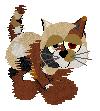 Cheerleader, female hexed calico