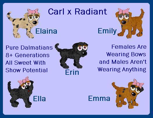 Purebred dalmatians with 8+ generations and no hexing.  Many are spotlacking!  Petz 4 (or 5).  Email me to adopt.  Adopted: Elaina and Erin