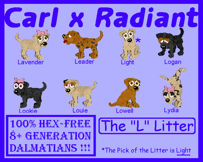 More purebred dalmatians with 8+ generations and absolutely no hexing.  This litter was bred in the Petz 4 game version, so you can run any of these puppies in Petz 3, 4, and 5.  Email me to adopt.  Adopted: Lowell, Light and Lookie