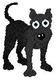 Mexie, female *purebred* great dane **petz 4**