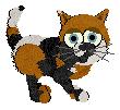 Neal, petz 3/4/5