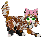 Tae, female, petz 3-4-5