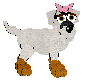 Ticipa, petz 4
