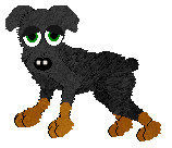 Tival, male, petz 4