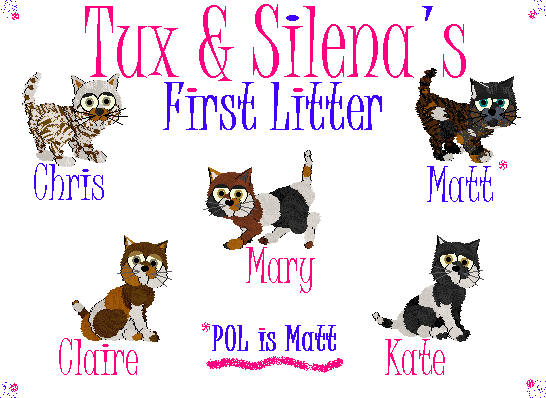 This a mixed breeds cat litter with more than 8 generations.  They're for petz game versions 3, 4, and 5.  Emaile me to adopt.  Adopted: None Yet