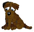 Zilch, male, petz 3-4-5
