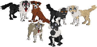 Top row (left to right) - Emotion, Grace, Halloween, Honey
Bottom row - India, May