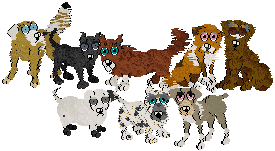 Top row (left to right) - Baron (Jessie x Jamie), Dawn (Vesta x Luke), Harmony (Rei x Fluke), Hermione (Rachel x Ben), Sadie (Haze x Bolivar)
Bottom row - Sitka (Cori x Magical), Stylo (Abbie x Frazzle), Wispa (Rei x Fluke)