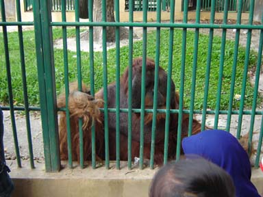 badly relatives meng ah quite taken care