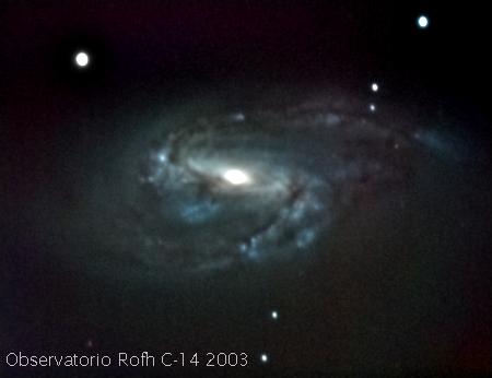 M66