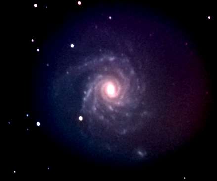 NGC1232