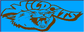 Click here for the wildcat terrain!