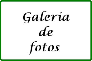Galeria de fotos --- V�rias fotos de sabi�s