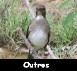 Outros Sabi�s