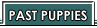 PAST PUPPIES