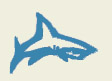 Sale Sharks