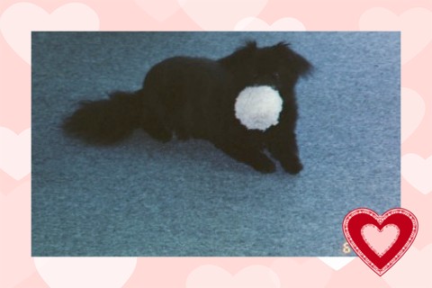 Sweet Miss Niki