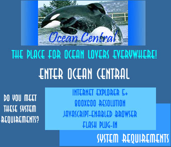 Welcome! Click Here To Enter!