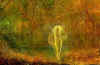 autumn lake fae.jpg (62294 bytes)