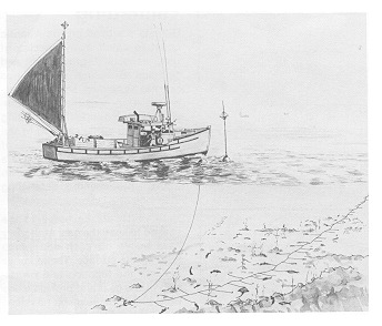 Longline[1].jpg (30076 bytes)