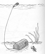 Pot2[1].jpg (12838 bytes)